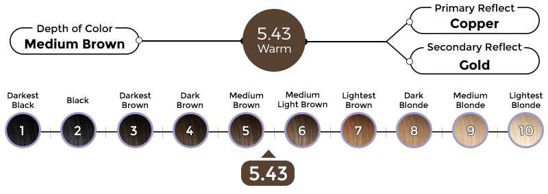 5-43-portofino-brown