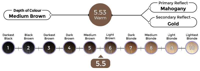 5-53-verona-brown-3