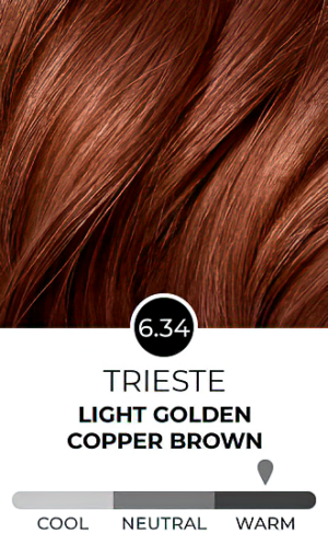 Satin Hair Color Dark Golden Copper Blonde (6GC) | TotallyHairCare