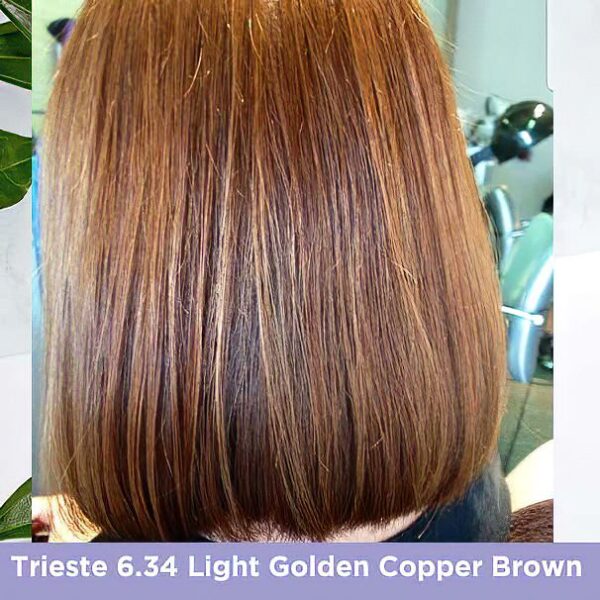 Trieste 6.34 Light Golden Copper Brown