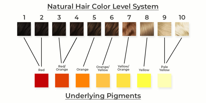 Hair Underlying Pigment Chart - At Home Bleaching Happy Accident I 039 M Ki...